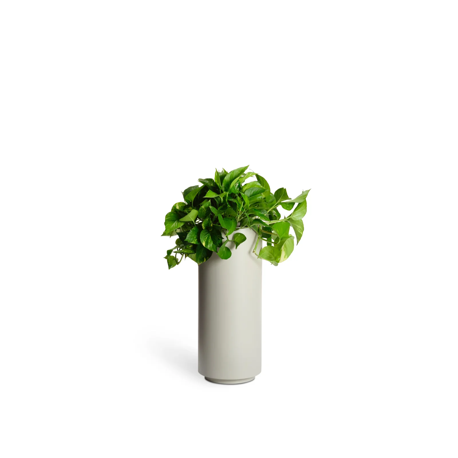 Column Planter - Ash
