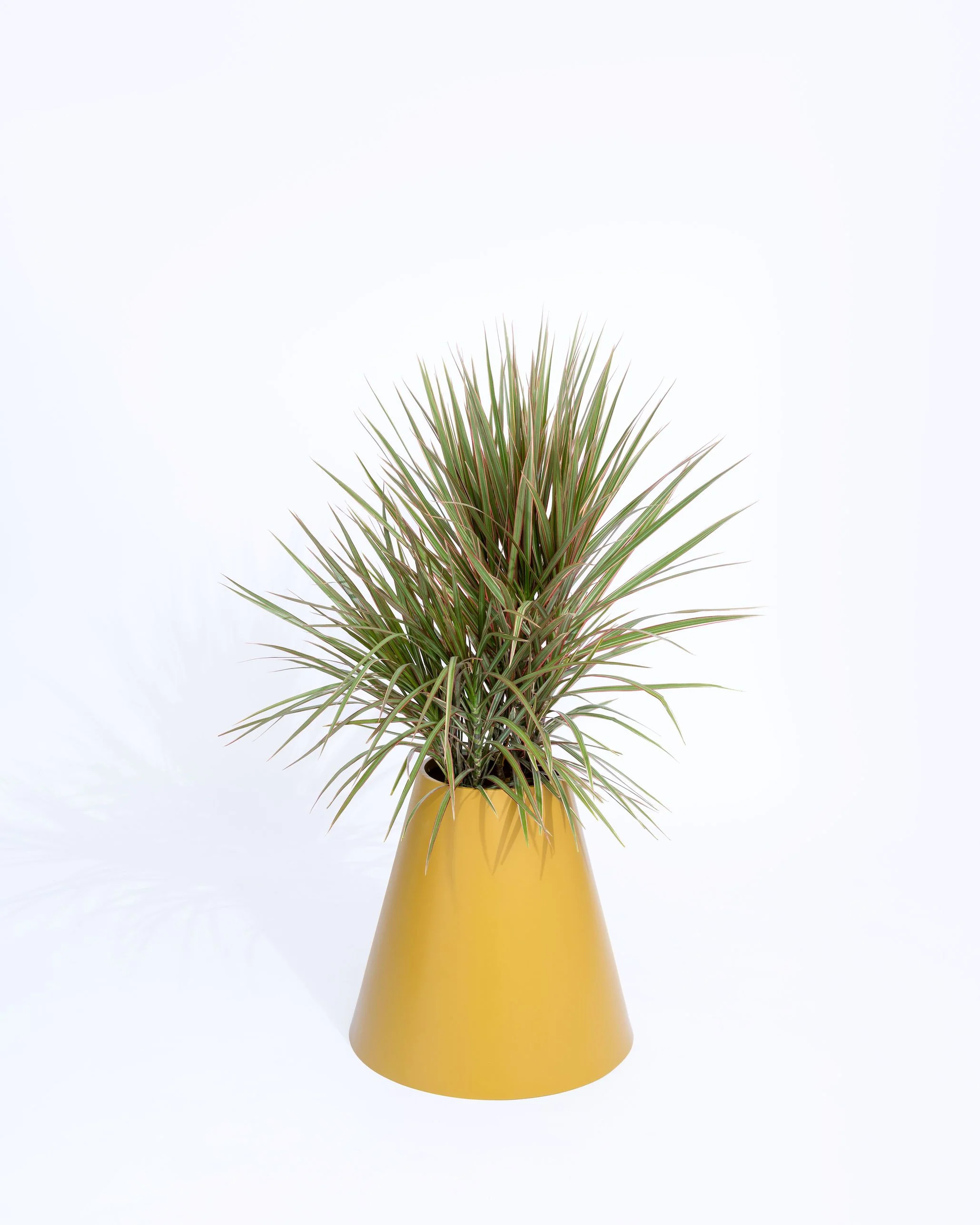 Cone Planter - Image 3