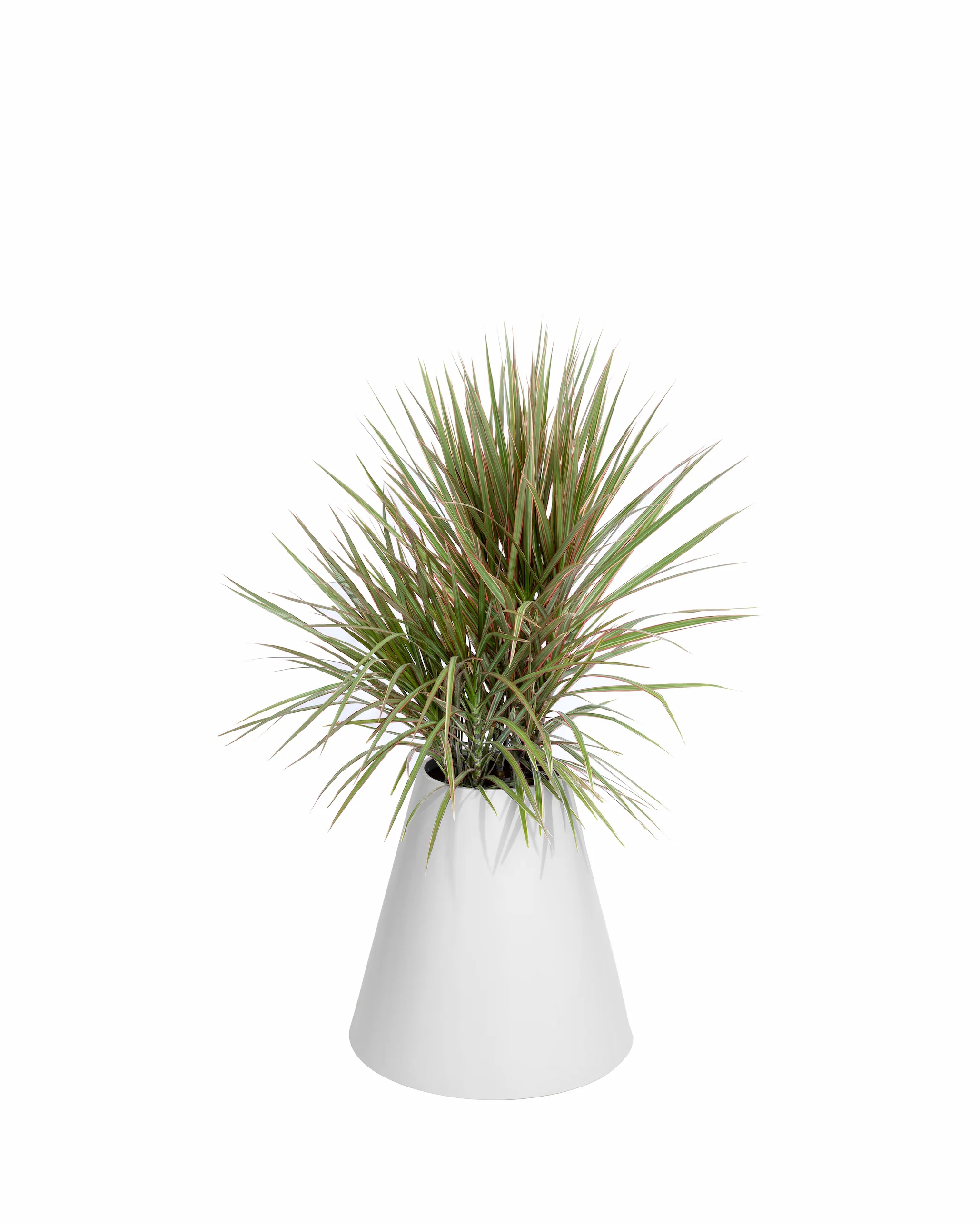 Cone Planter - Image 5
