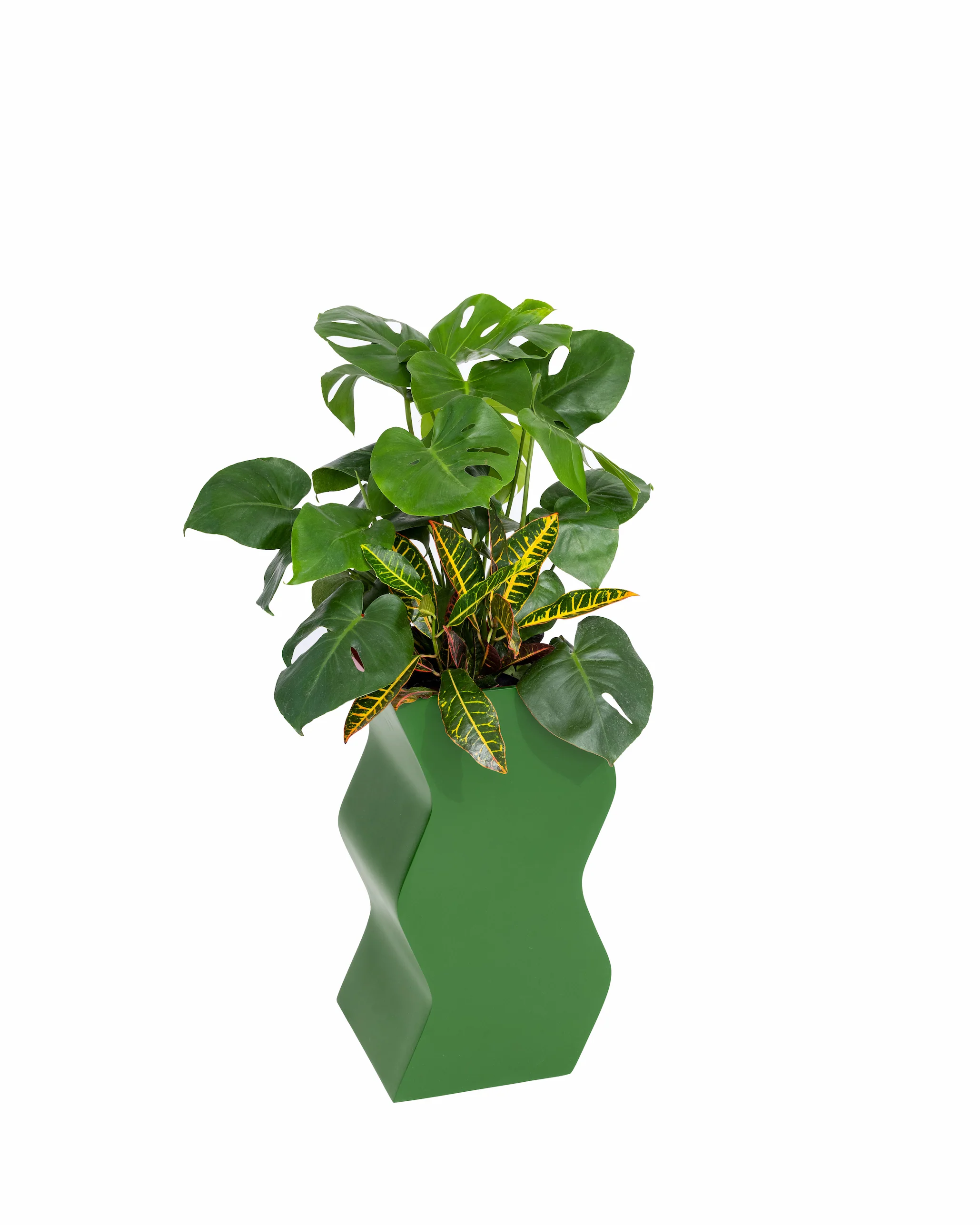 Curvy Planter - Image 3