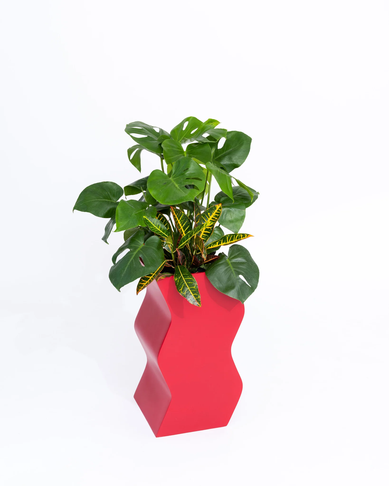 Curvy Planter - Image 4
