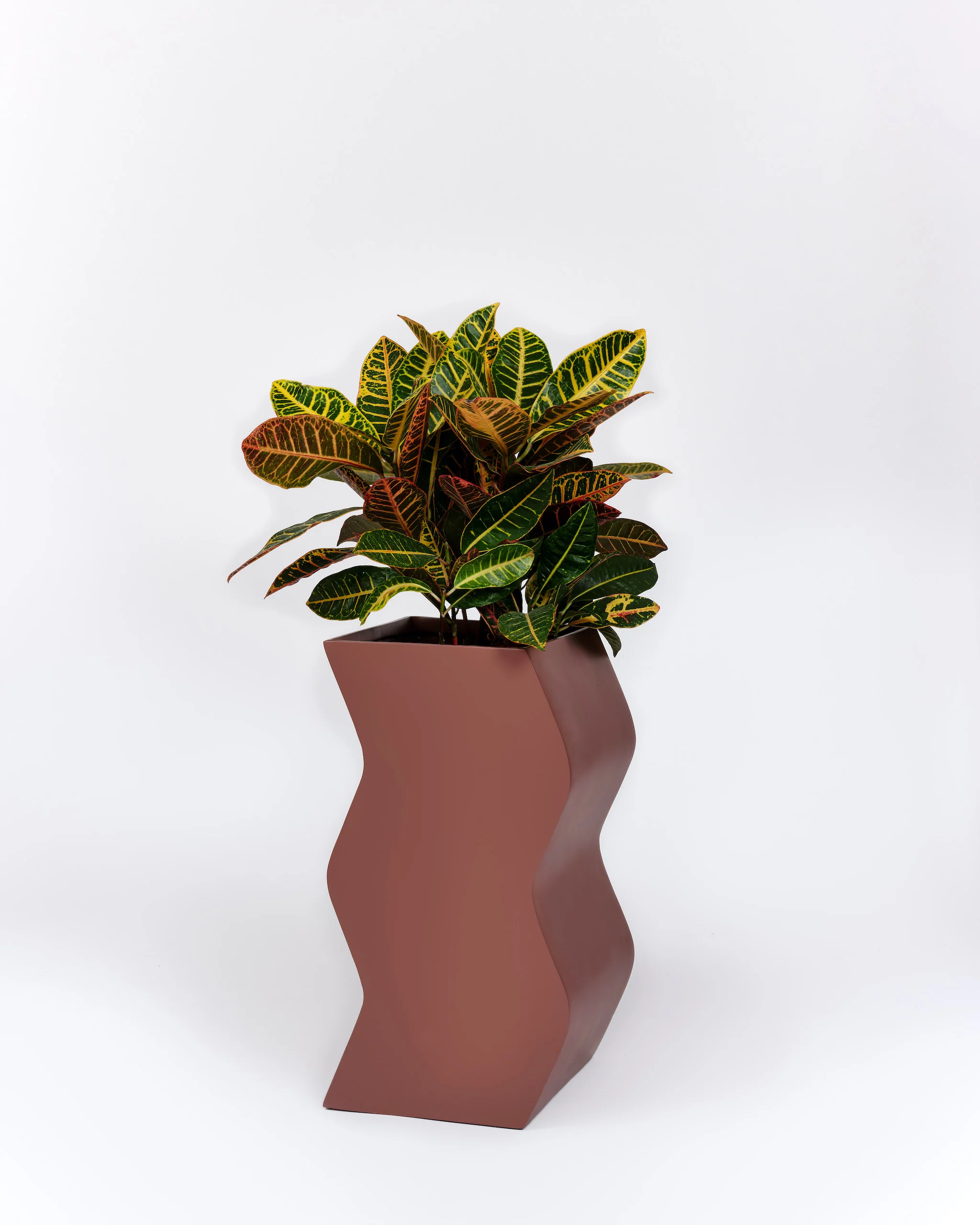 Curvy Planter - Image 6
