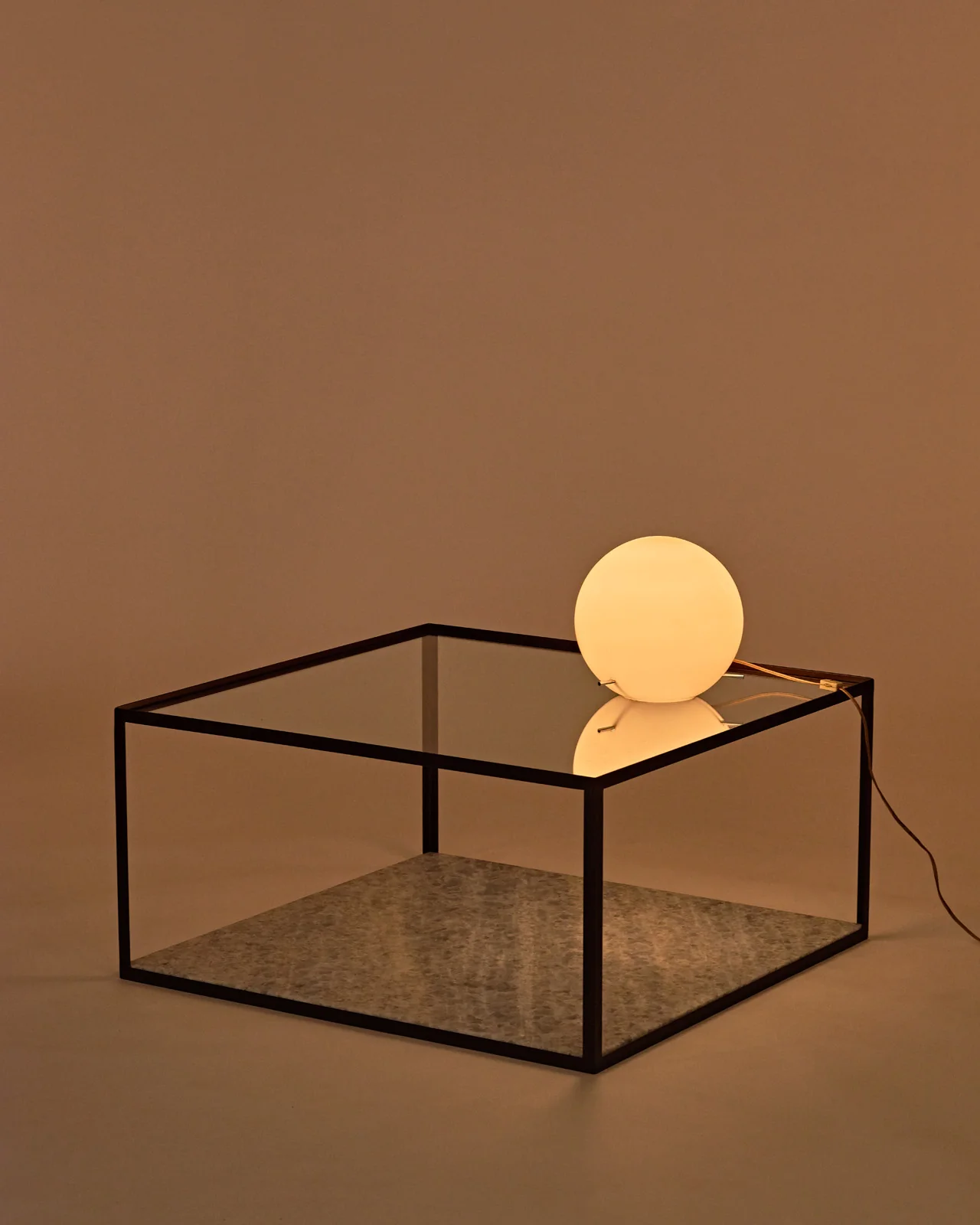 Fitted Coffee - Image 6