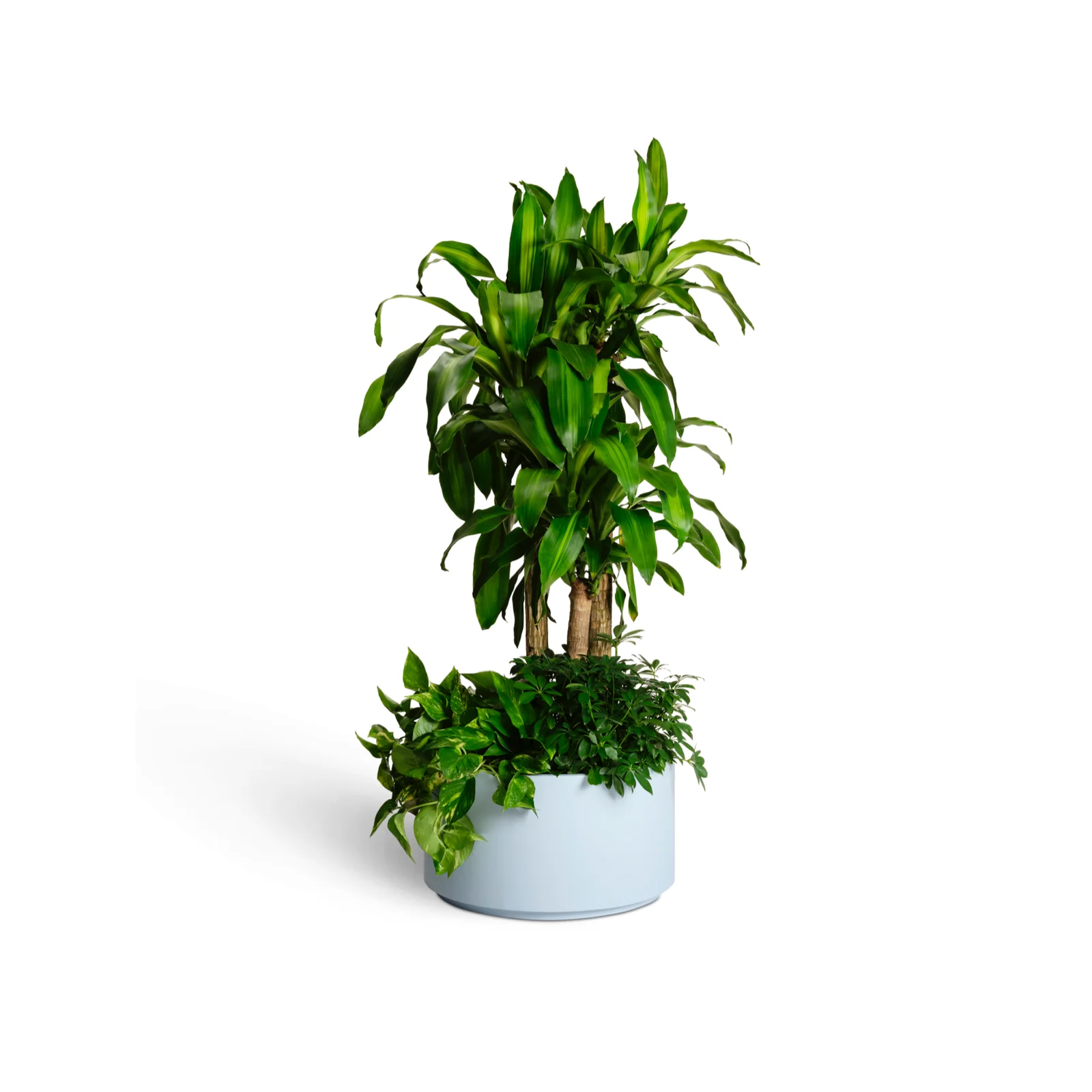 Planters