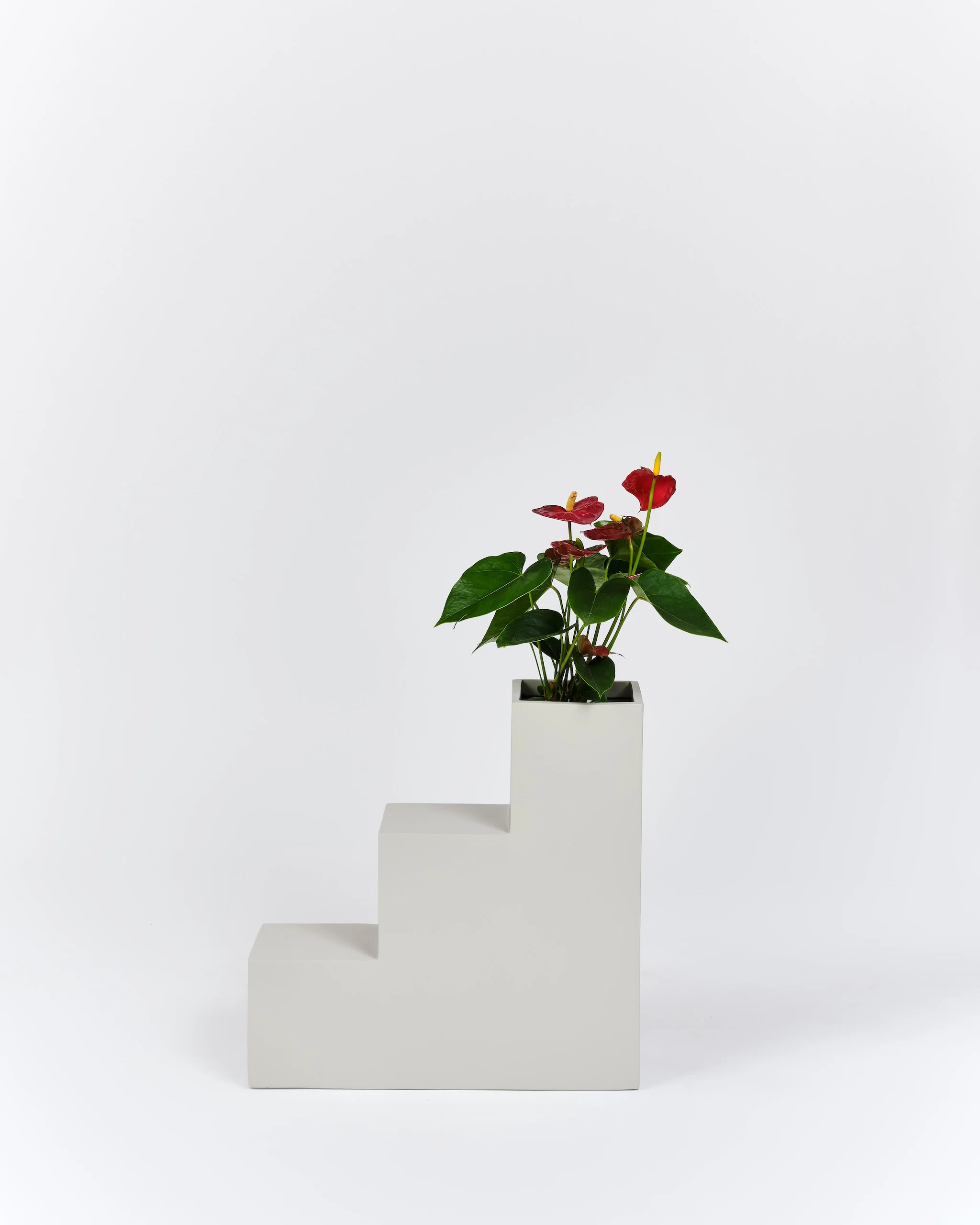 Steps Planter - Image 6
