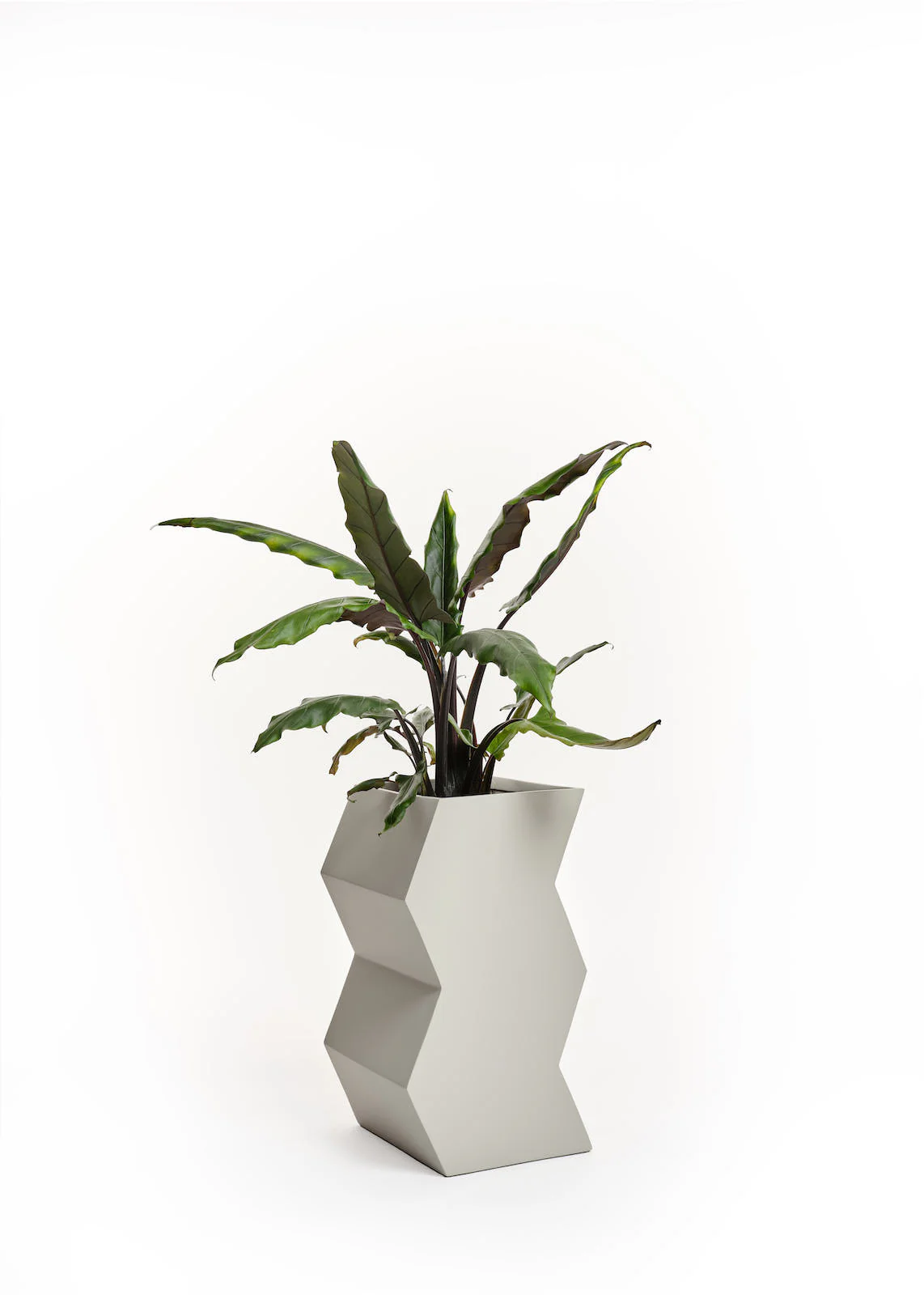 Zig-Zag Planter - Image 3
