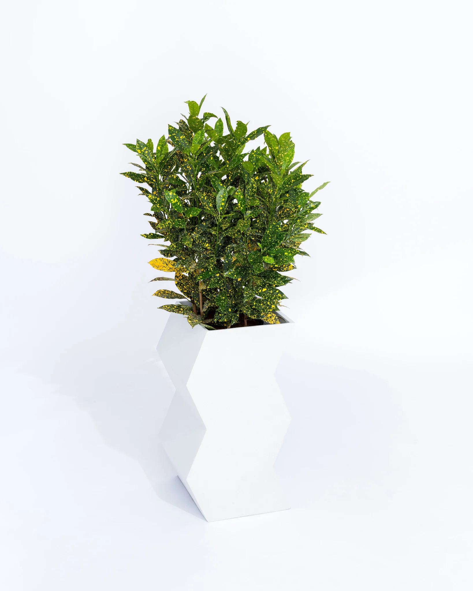 Zig-Zag Planter - Image 5